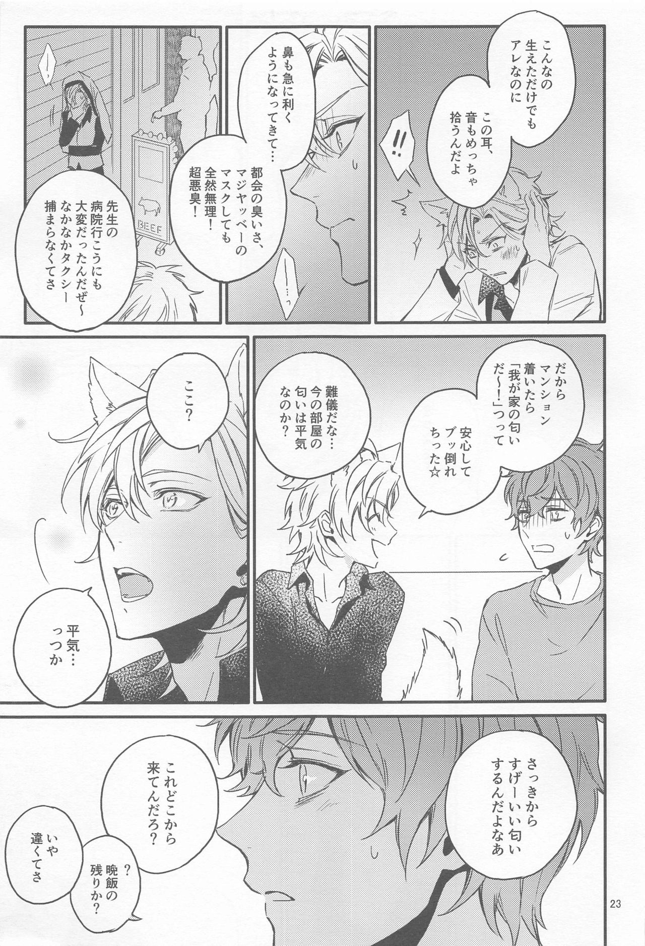 H x D COLLECTION - Page 22