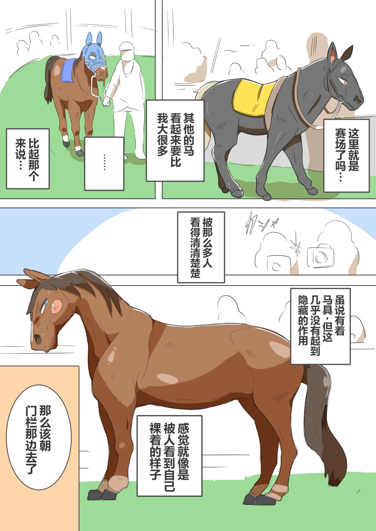 有秘密的竞赛马 - Page 19