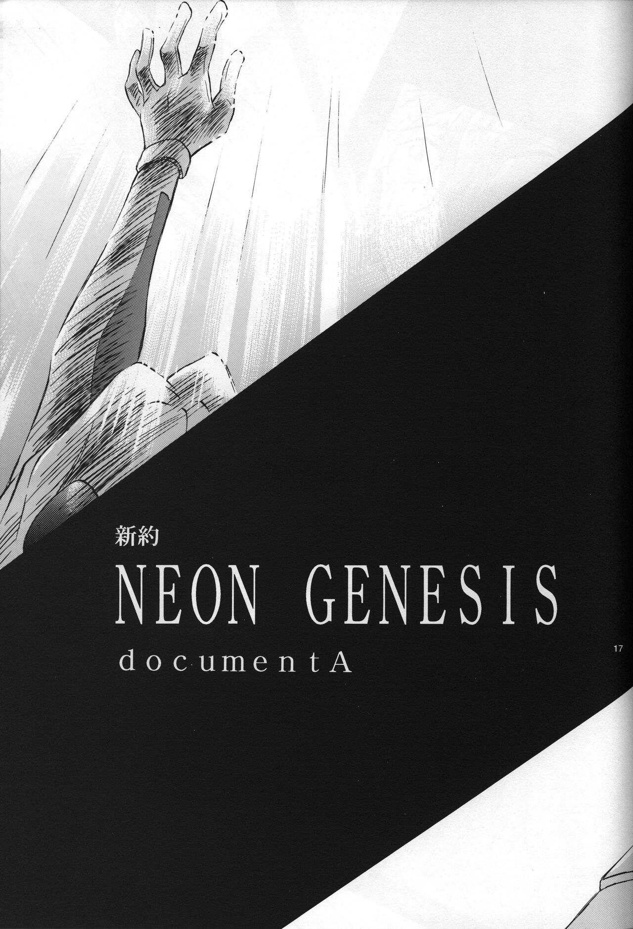 <Shinyaku> neon genesis -DocumentＡ- - Page 18