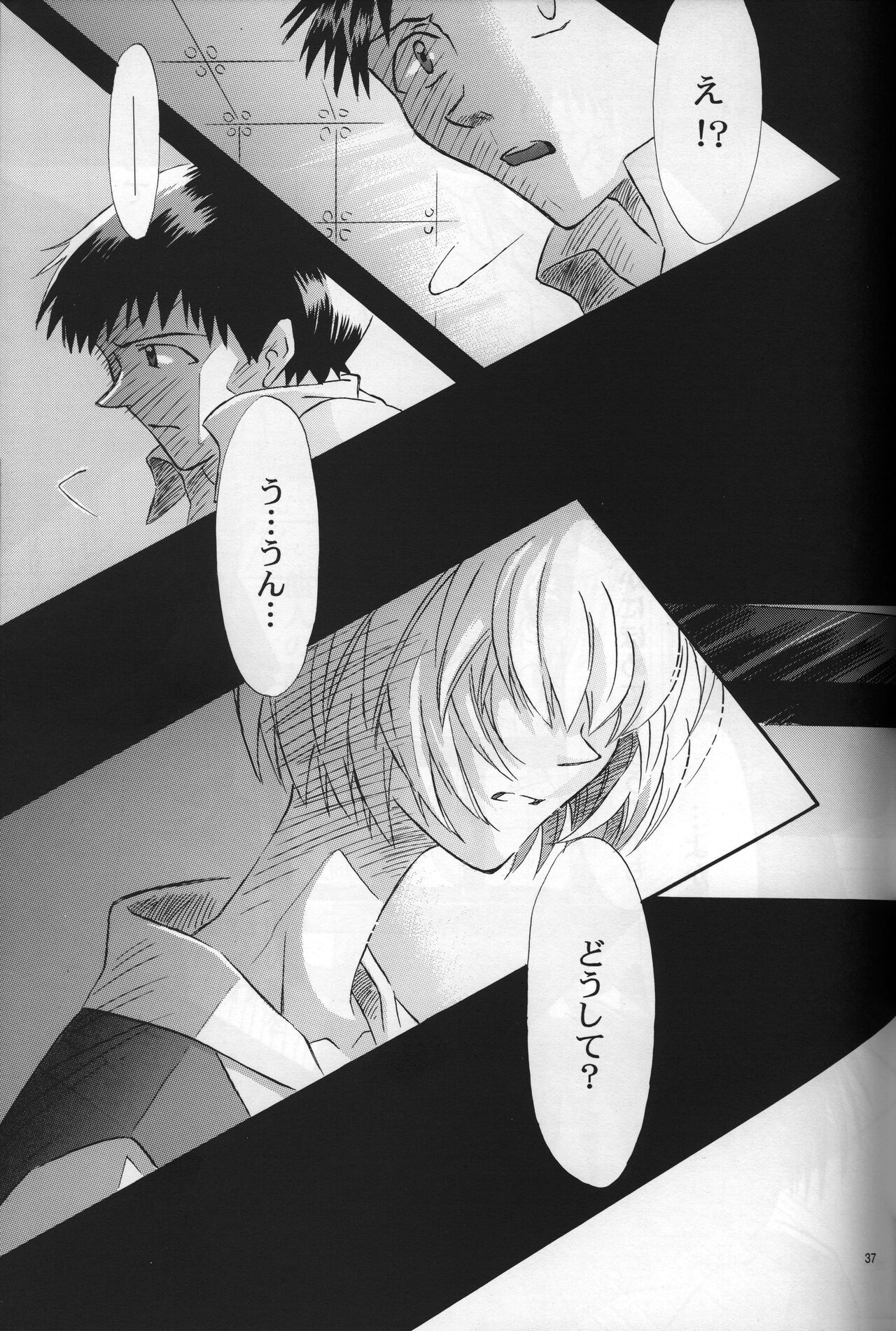 <Shinyaku> neon genesis -DocumentＡ- - Page 38