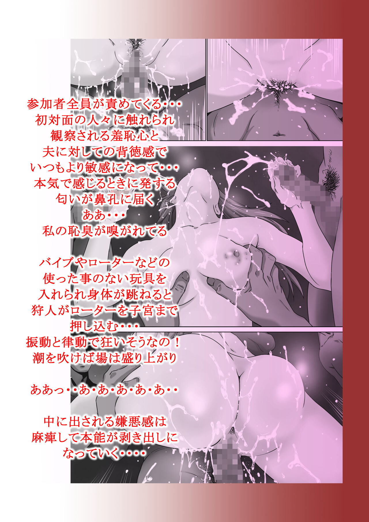Cuculus canorus - Page 21
