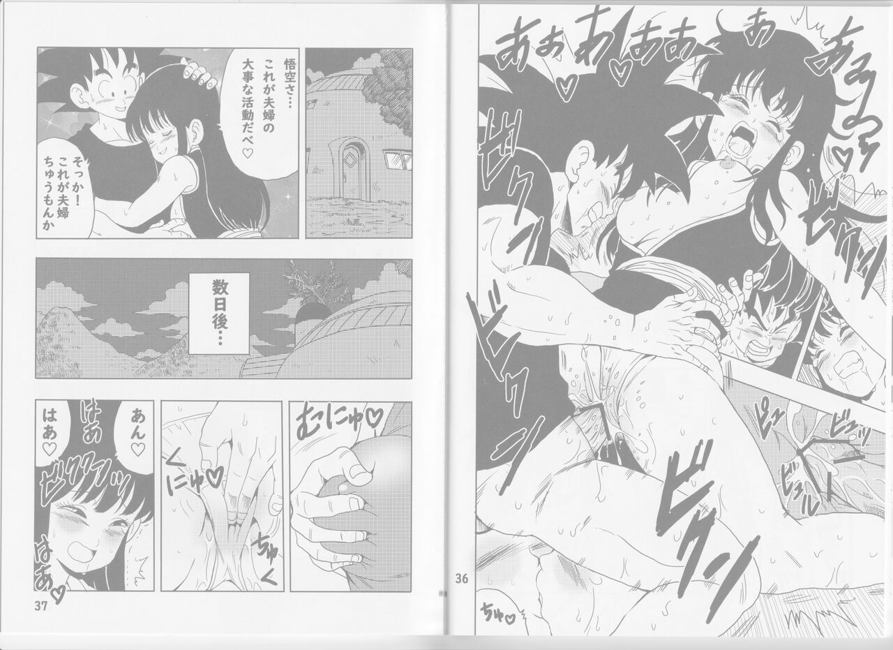 Chichi to Goku - Page 27