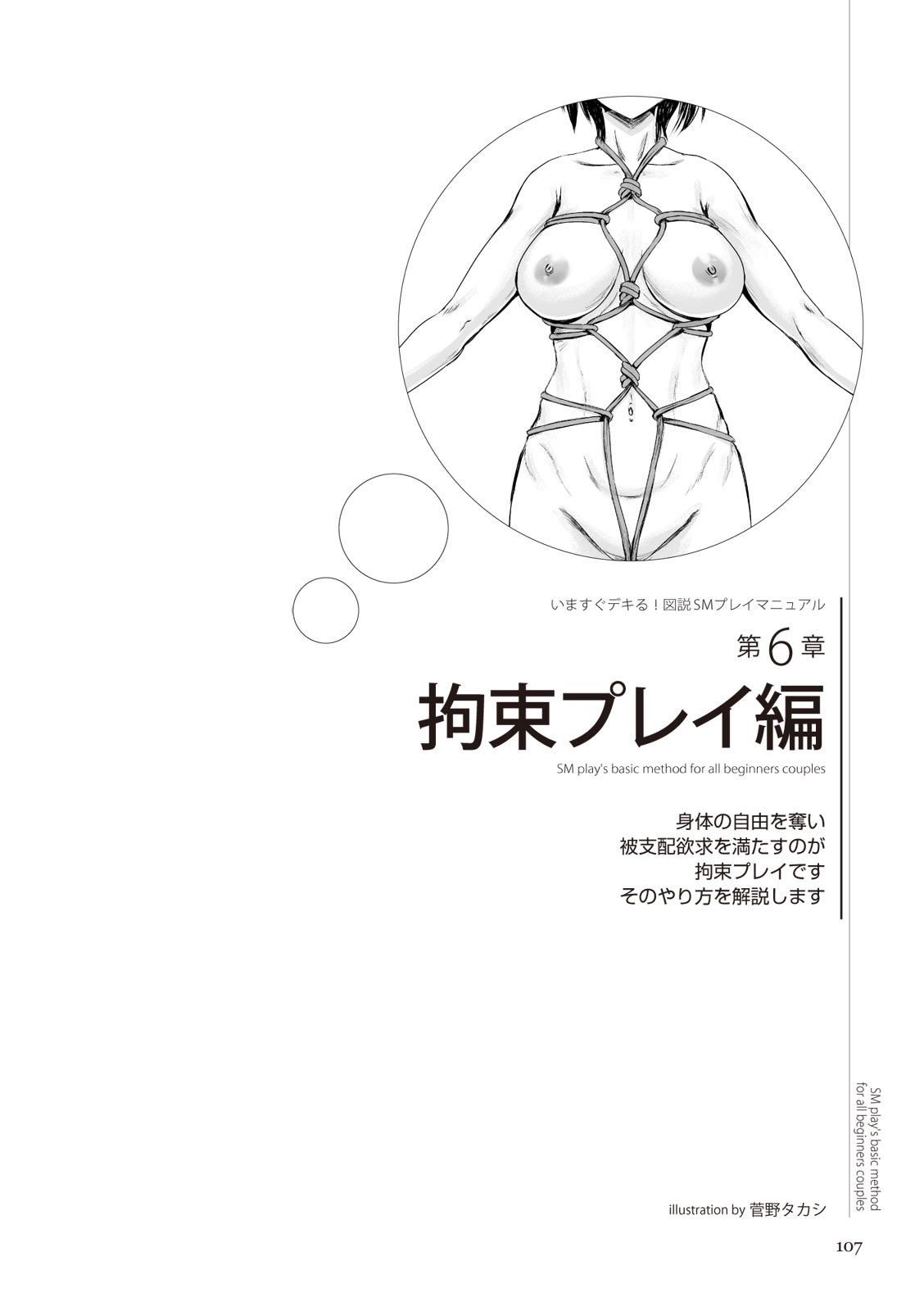 いますぐデキる 図説SMプレイマニュアル - Page 107