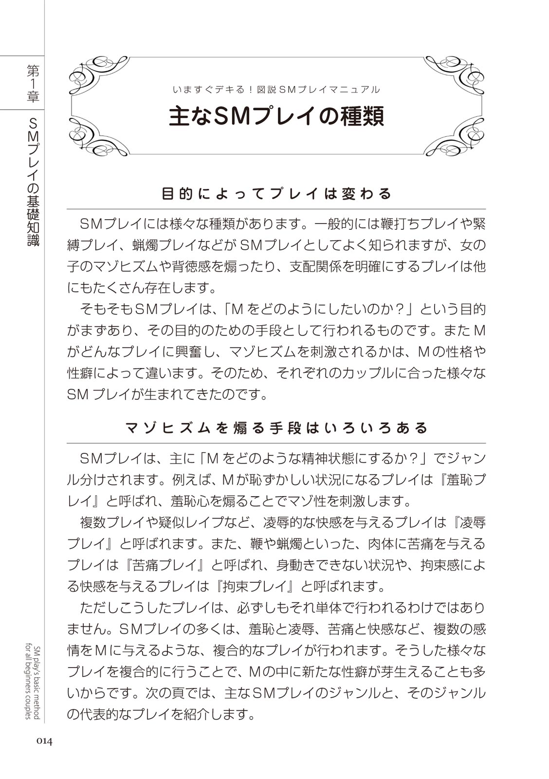 いますぐデキる 図説SMプレイマニュアル - Page 14