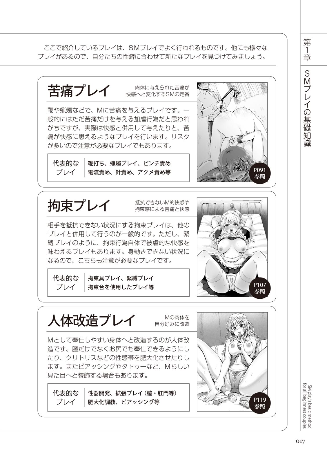 いますぐデキる 図説SMプレイマニュアル - Page 17