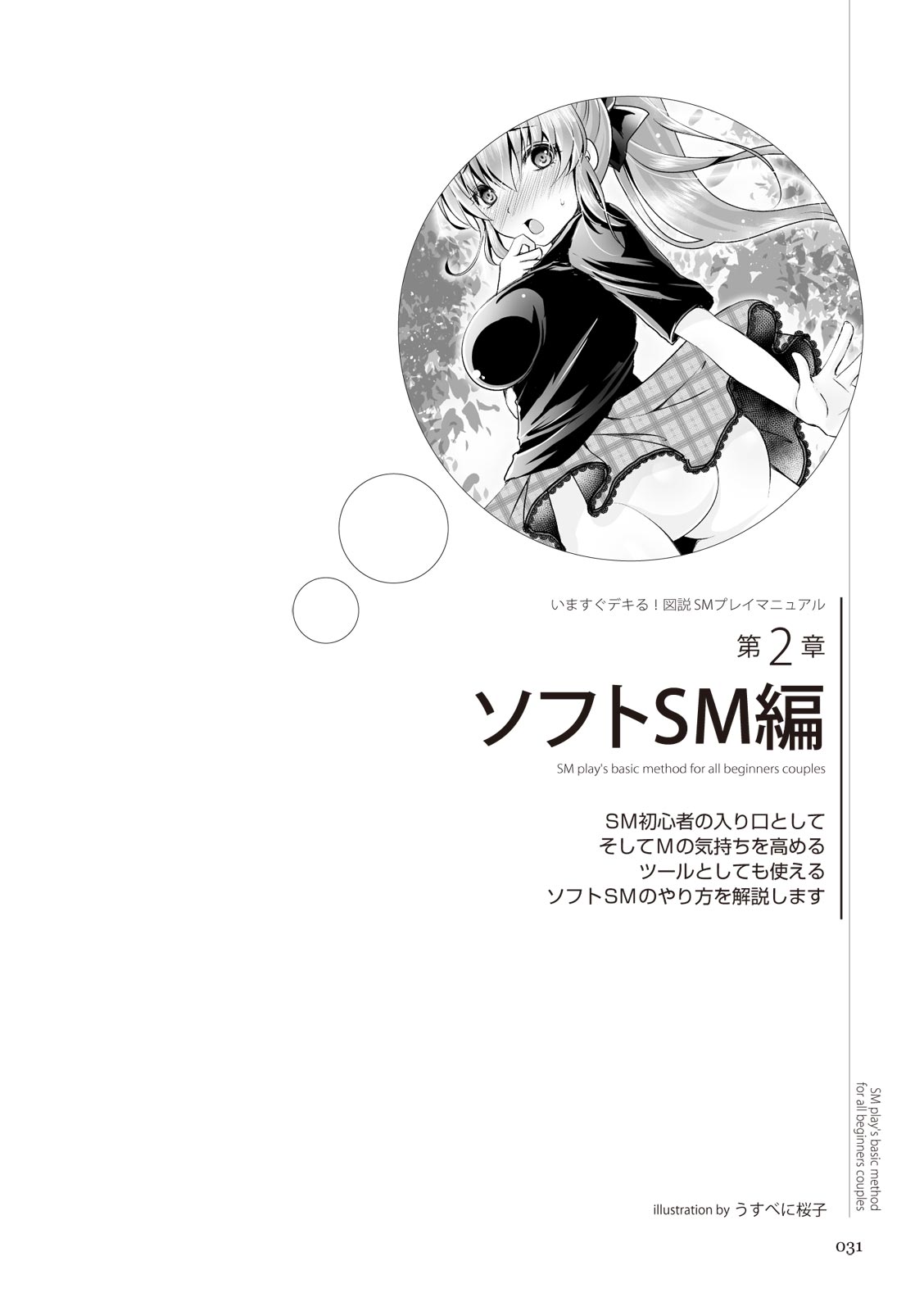 いますぐデキる 図説SMプレイマニュアル - Page 31