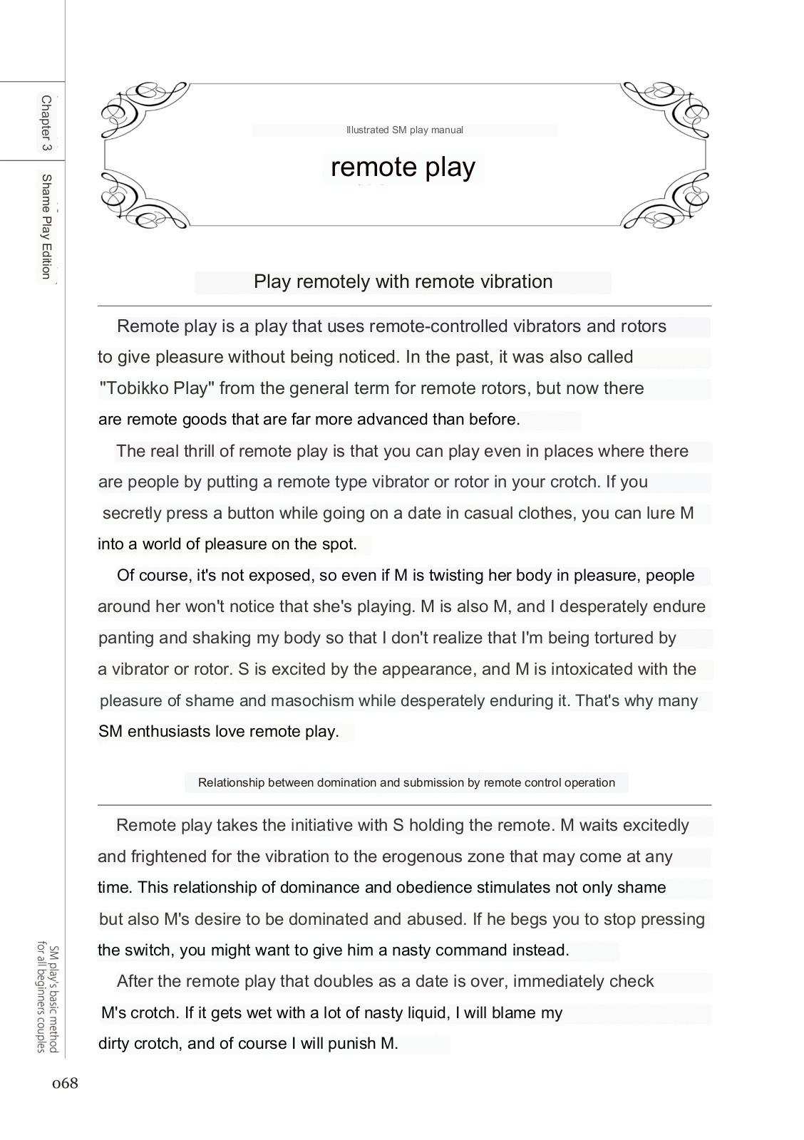 SM play manual - Page 66