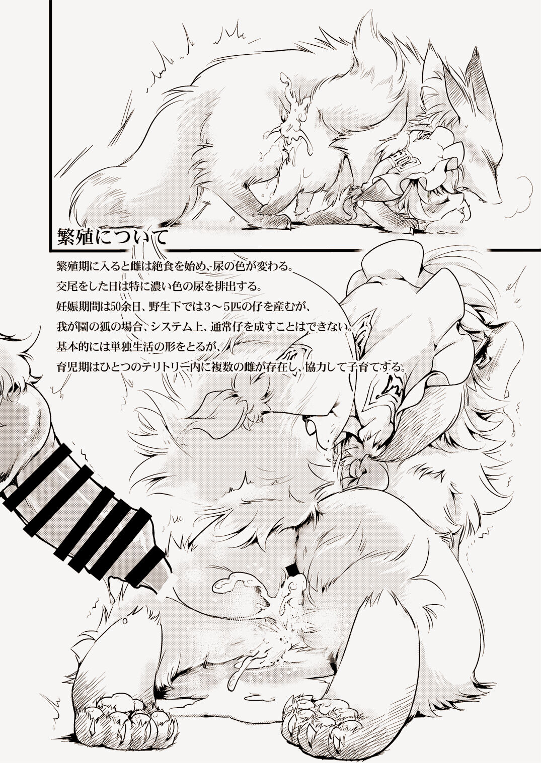 WILD ANIMALS - Page 7