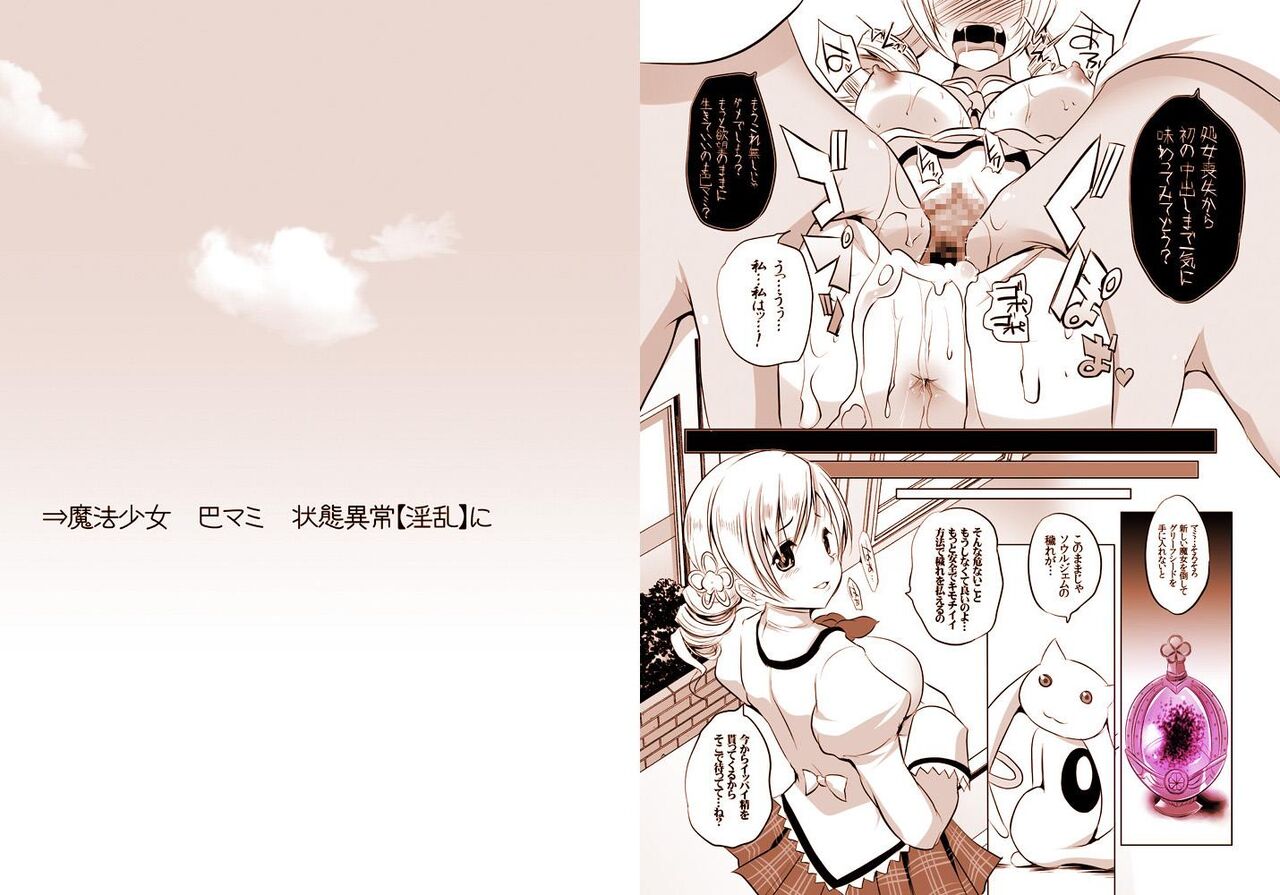 魔法少女の人生にロマンスが無いなら、純潔を守る必要も無いでしょう? - Page 14