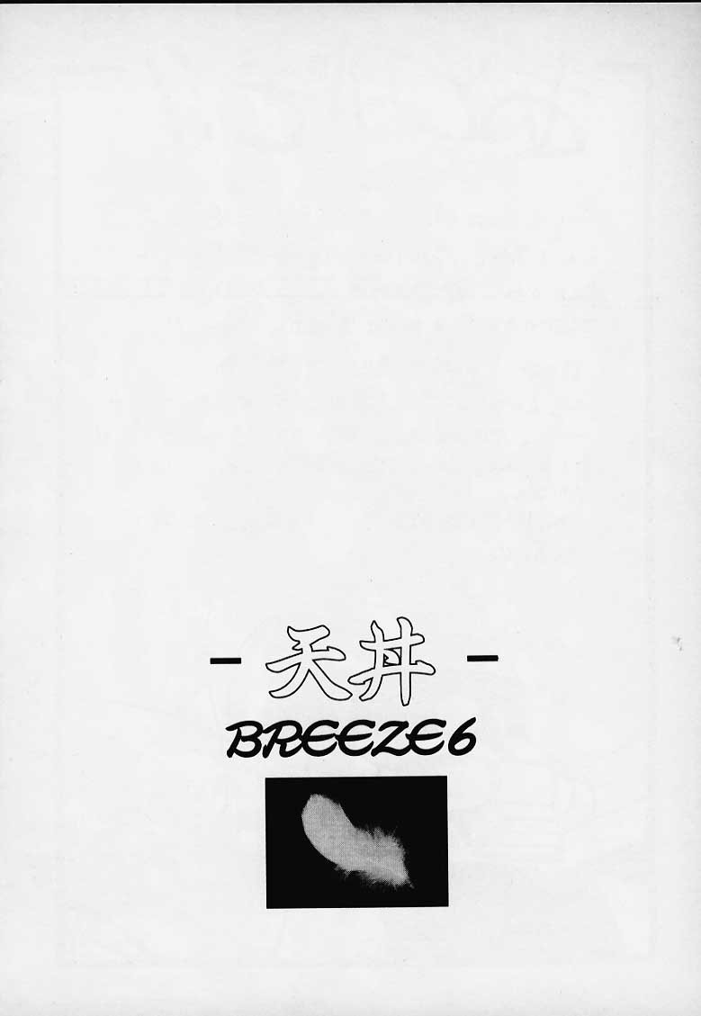 Tendon BREEZE 6 - Page 28