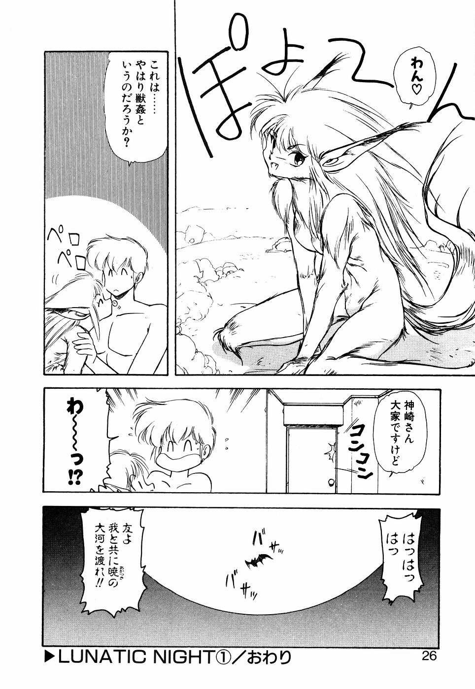 LUNATIC NIGHT I - Page 25