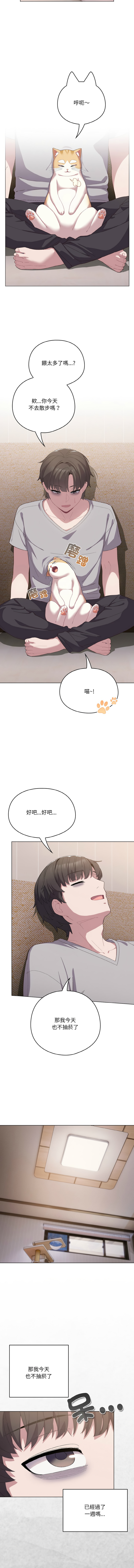喵来的恋爱 | 喵來的戀愛 1-5 - Page 61