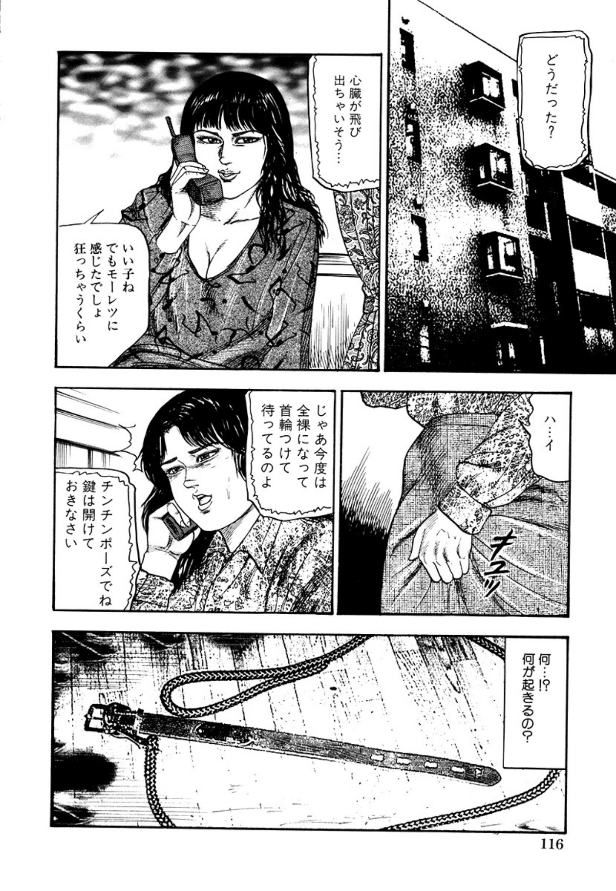 Seijuu Fujin - Page 118