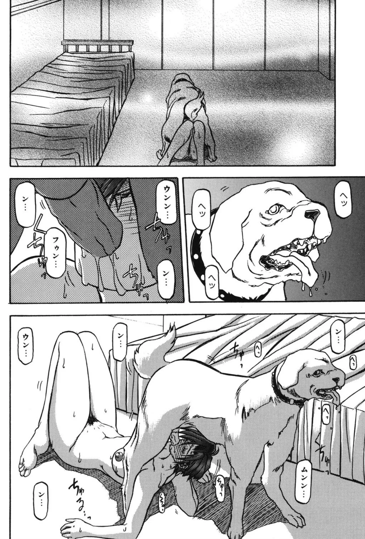 Sein - Page 47