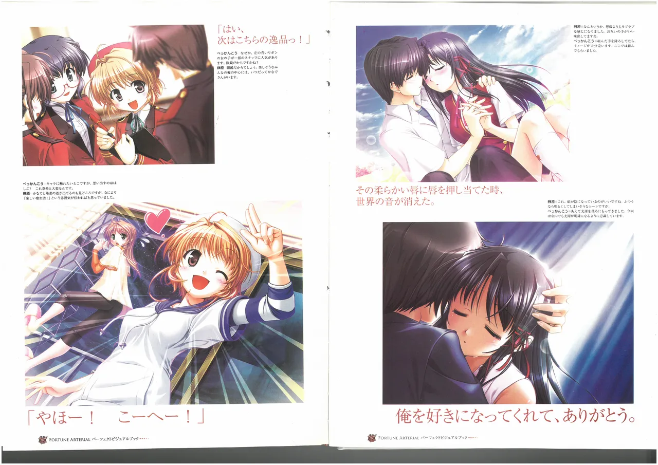 FORTUNE ARTERIAL PERFECT VISUAL BOOK - Page 68