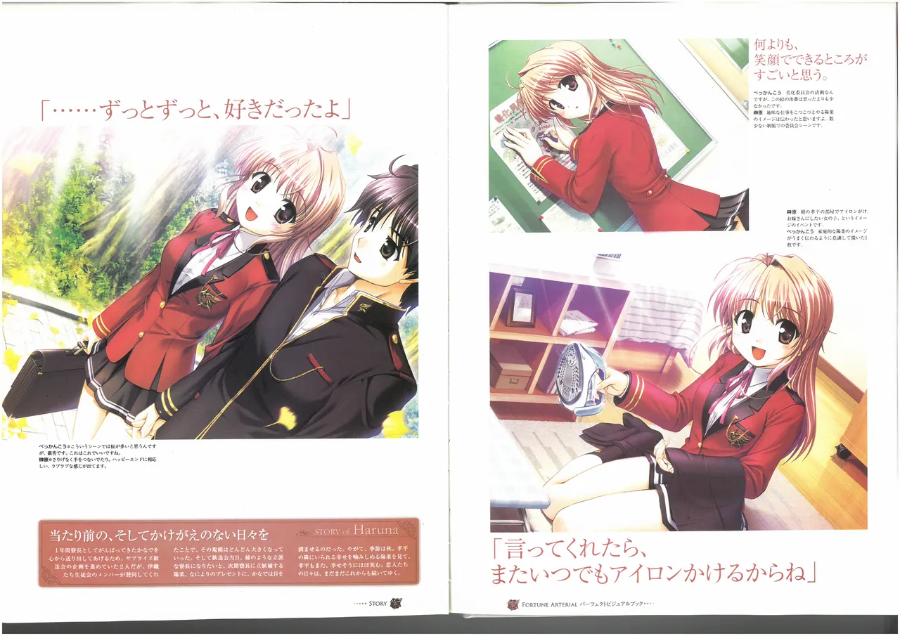 FORTUNE ARTERIAL PERFECT VISUAL BOOK - Page 72