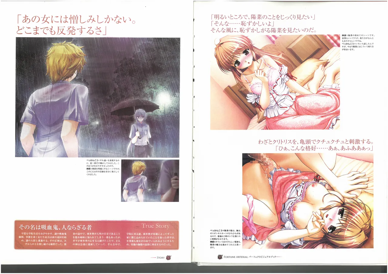 FORTUNE ARTERIAL PERFECT VISUAL BOOK - Page 74