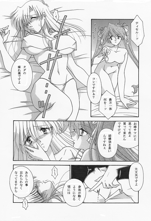 魔導の王国・淫辱の罠に堕ちる美姫 SIDE:A - Page 14