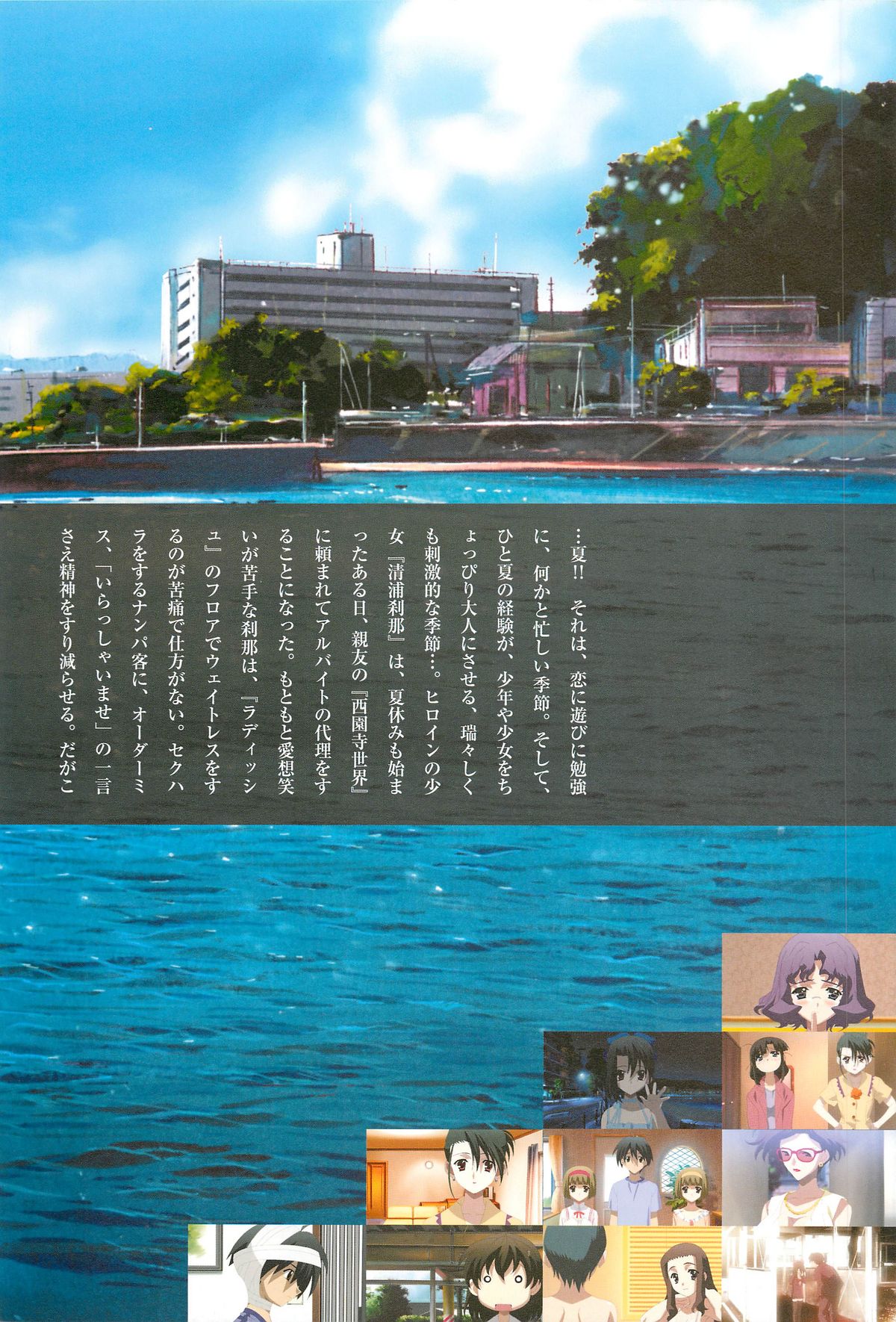 SummerDays Visual Guide Book - Page 114