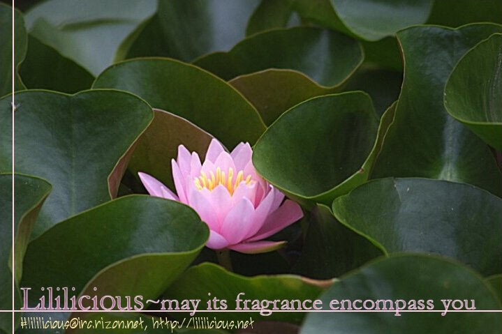 About a Girl - Page 15
