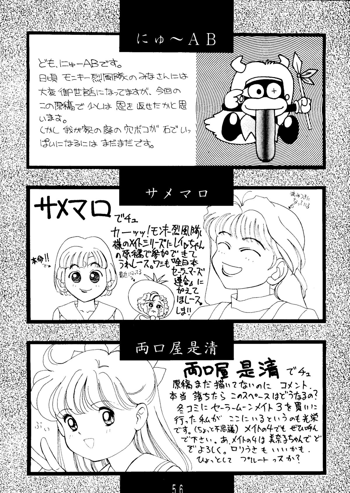 Sailor Moon Mate 03 REY - Page 55