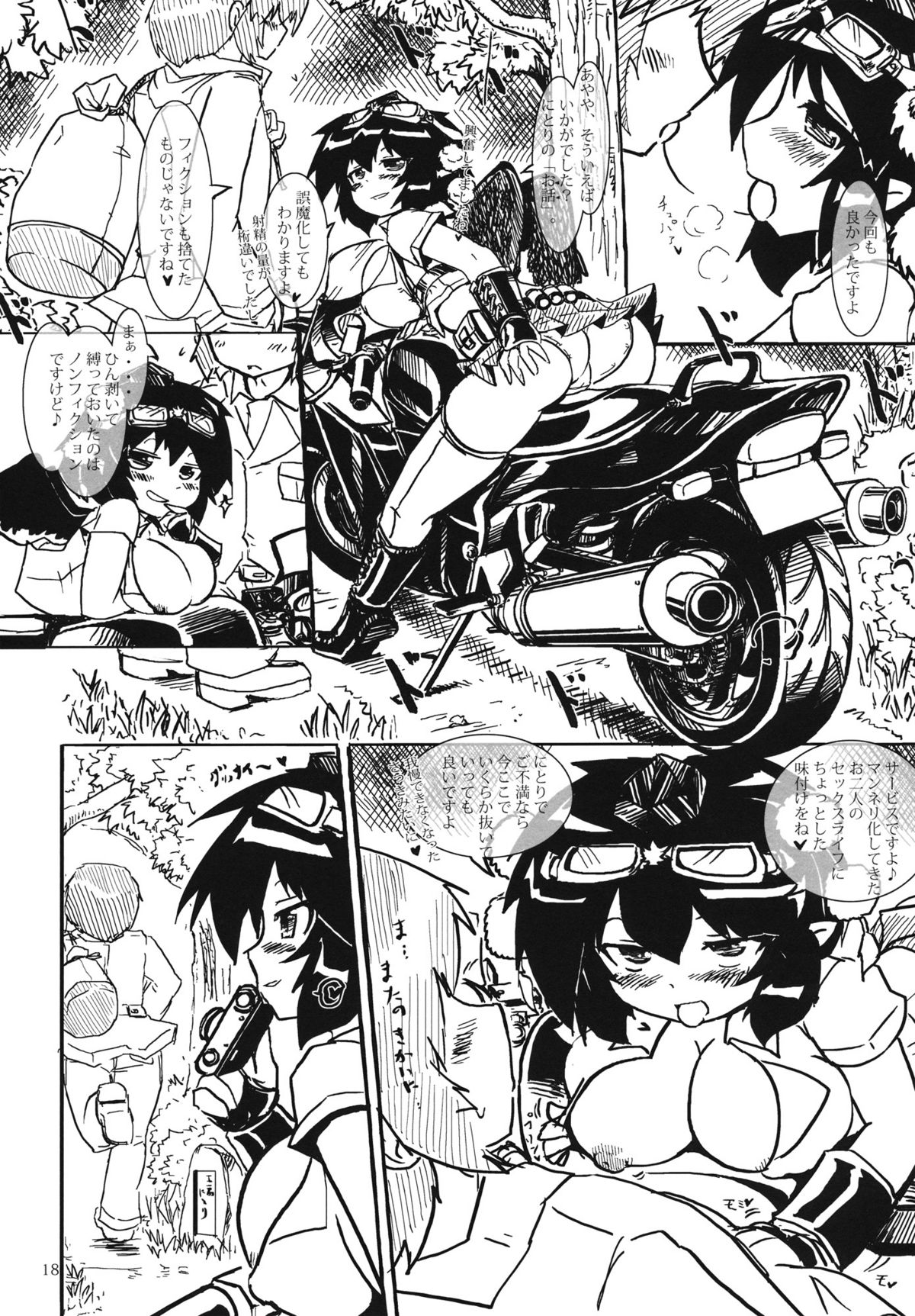 Nitorin H 4 - Page 17
