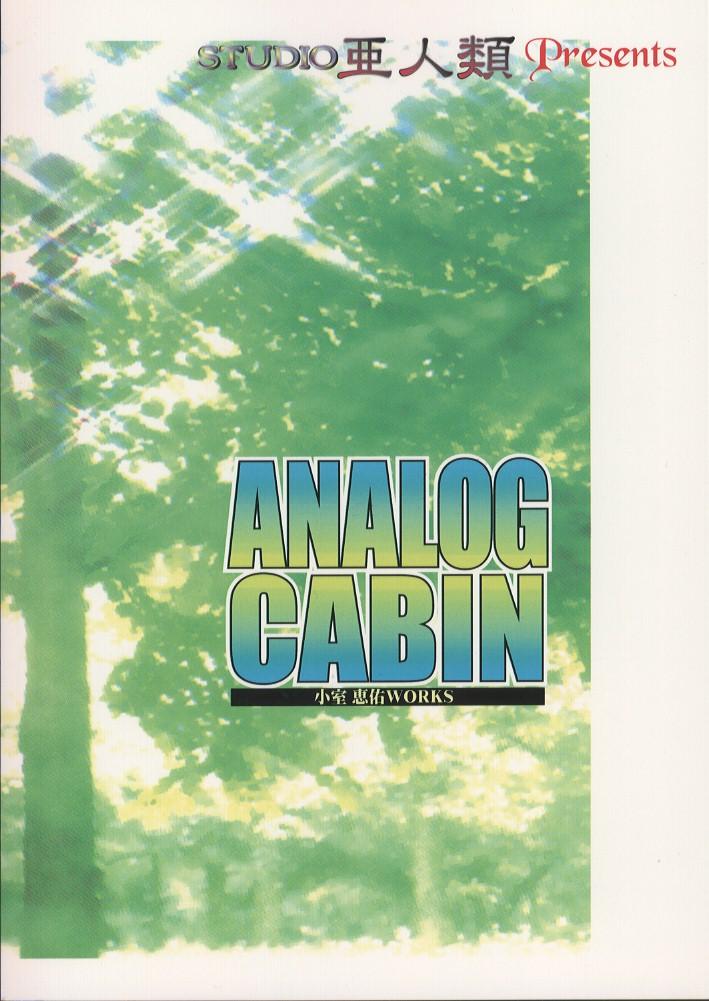 Analog Cabin - Page 35