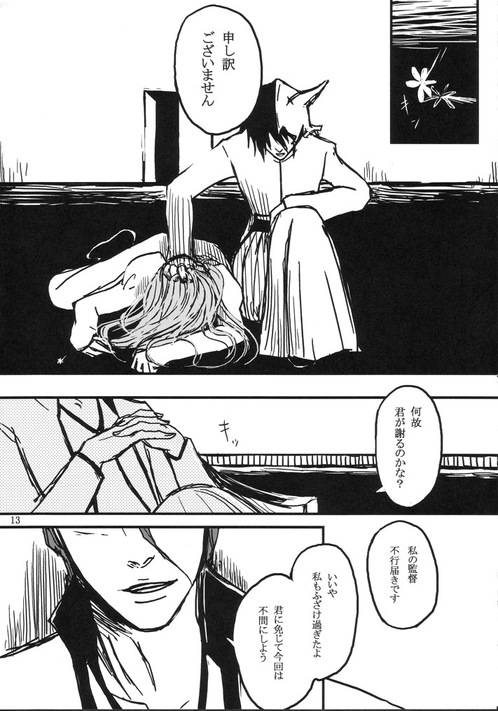 gira - Page 13