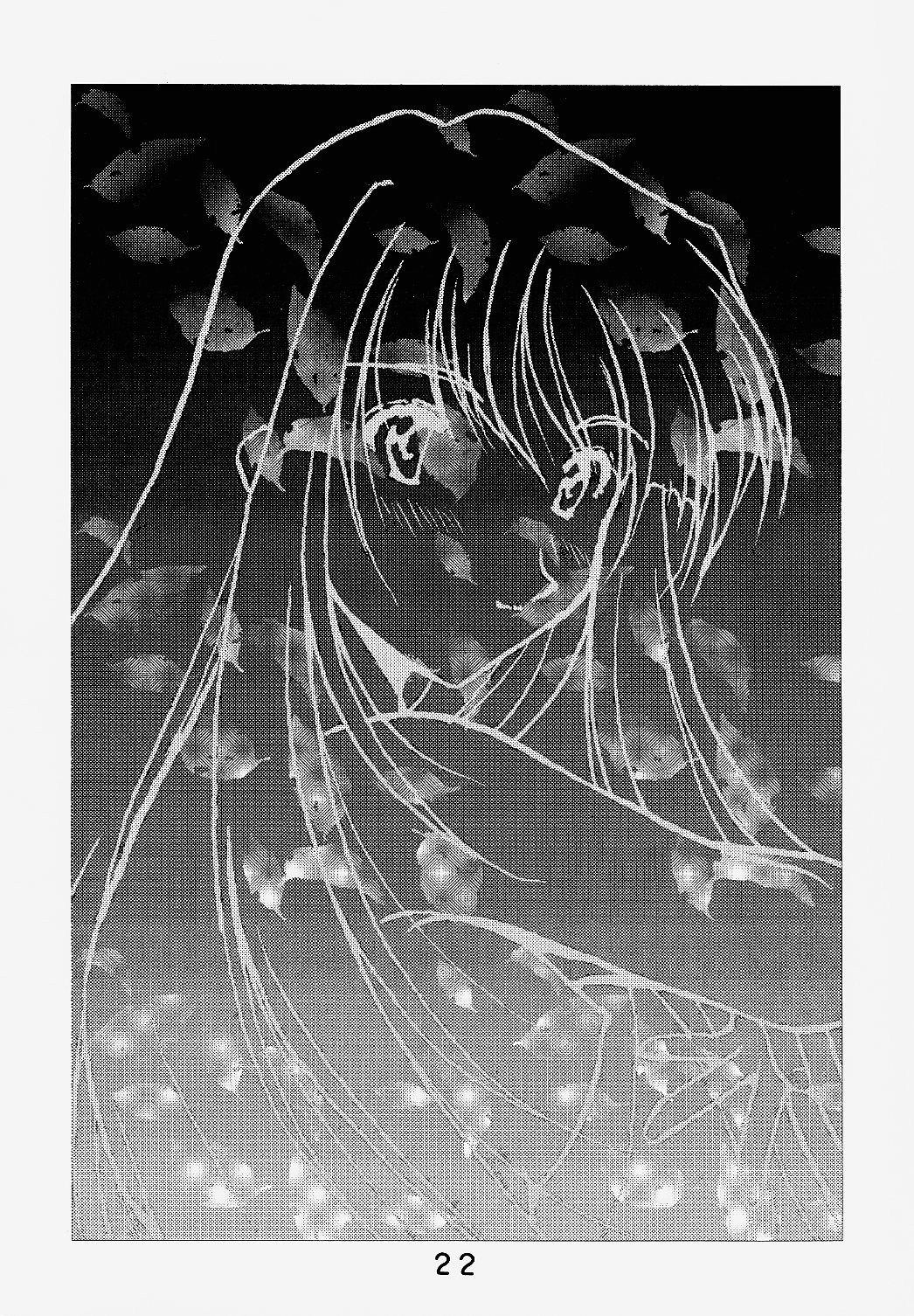 Koujou Shukka - Page 21