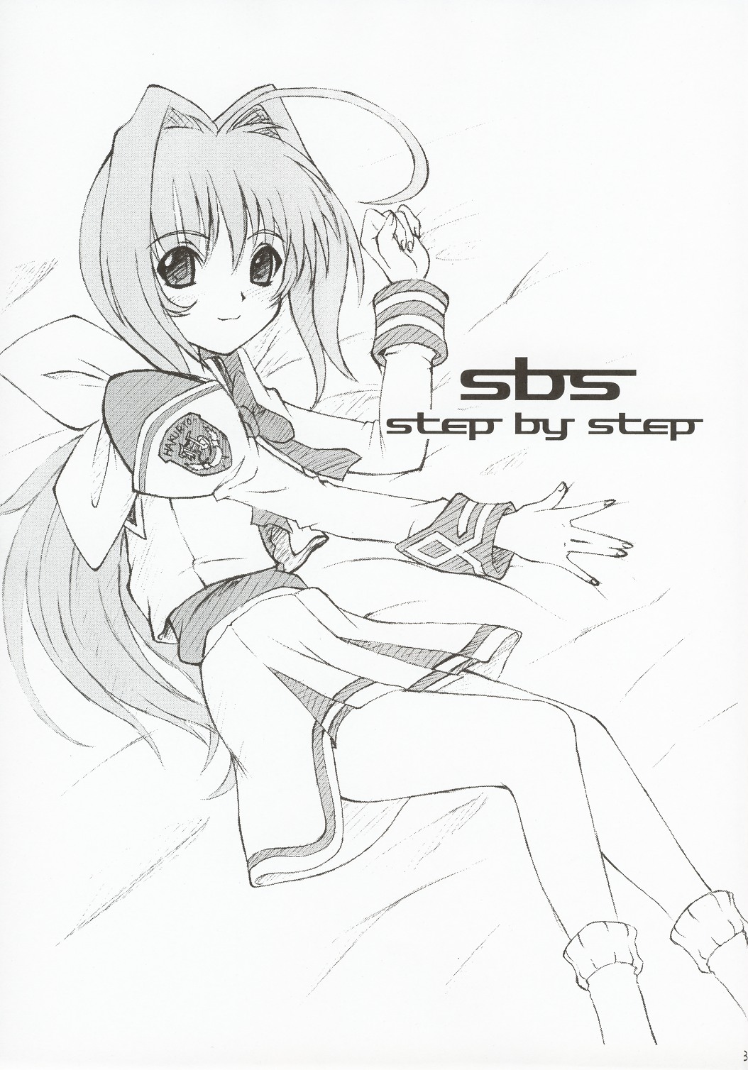 SBS step by step - Page 2