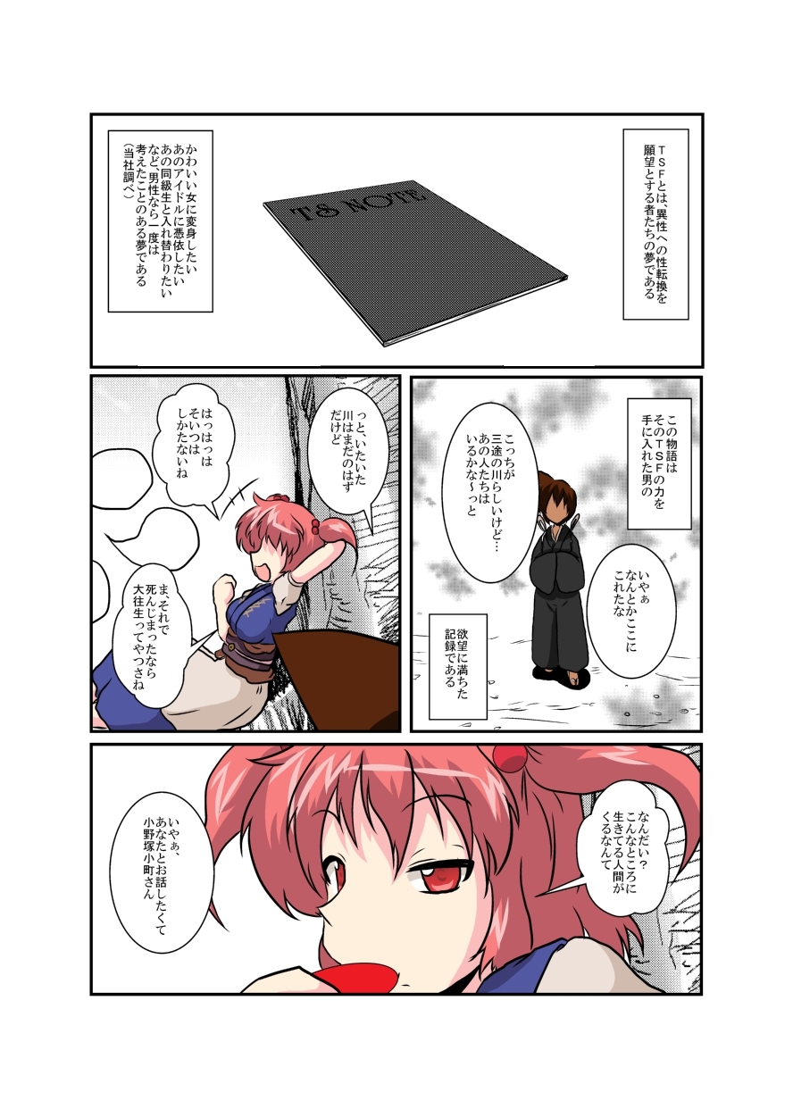 Touhou TS monogatari - Page 4