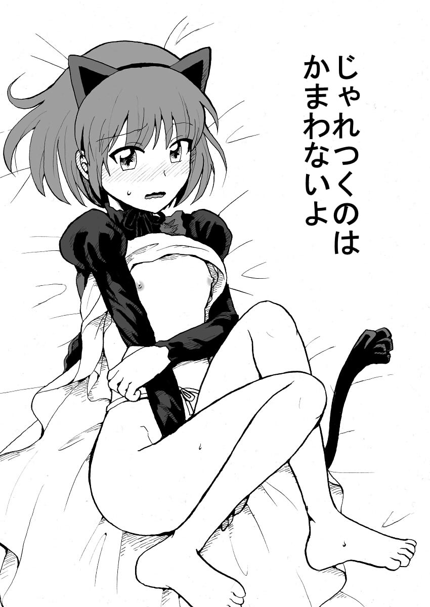 じゃれつくのはかまわないよ - Page 1