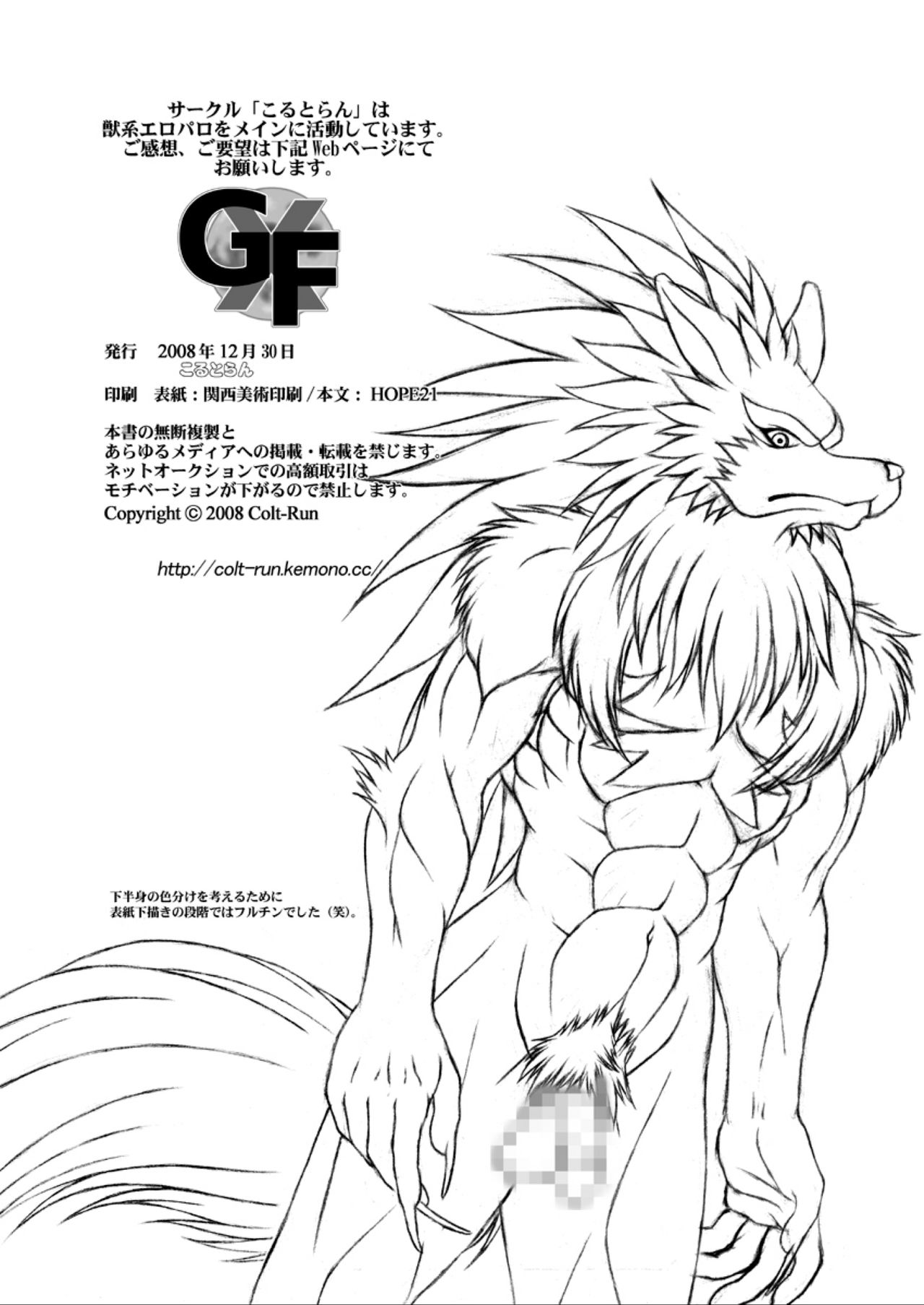 G×F DX PLUS - Page 33