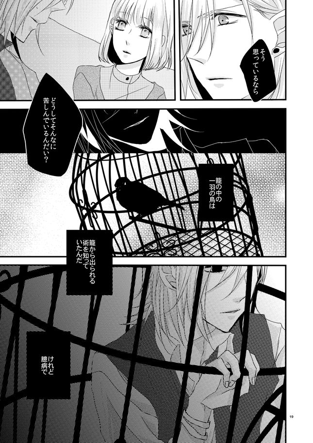phalaenopsis - Page 18