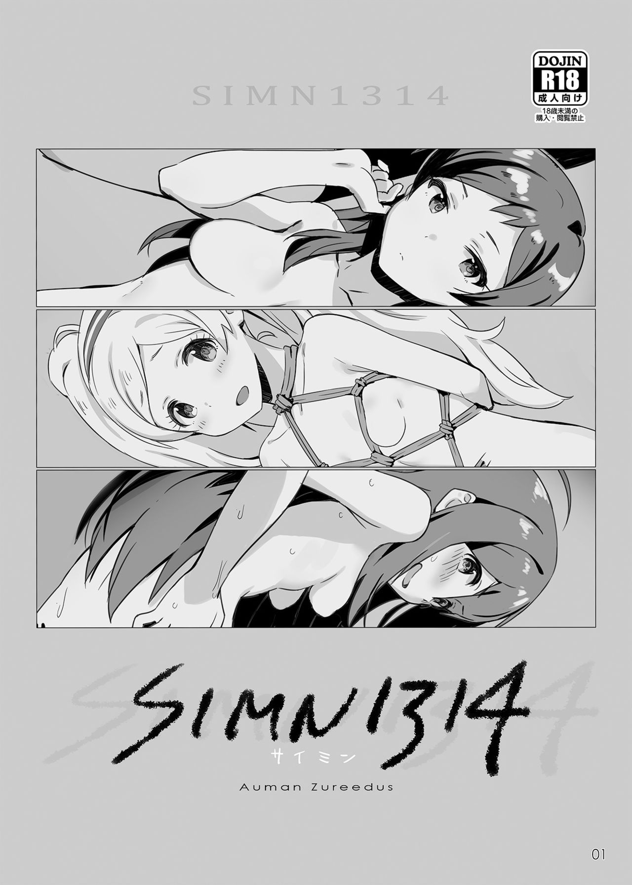 SIMN1314 - Page 1