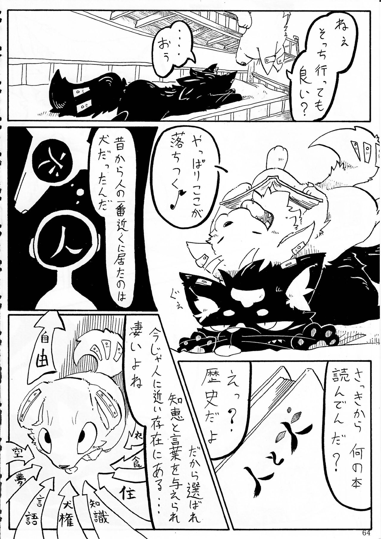 KTQ 5 - Page 51