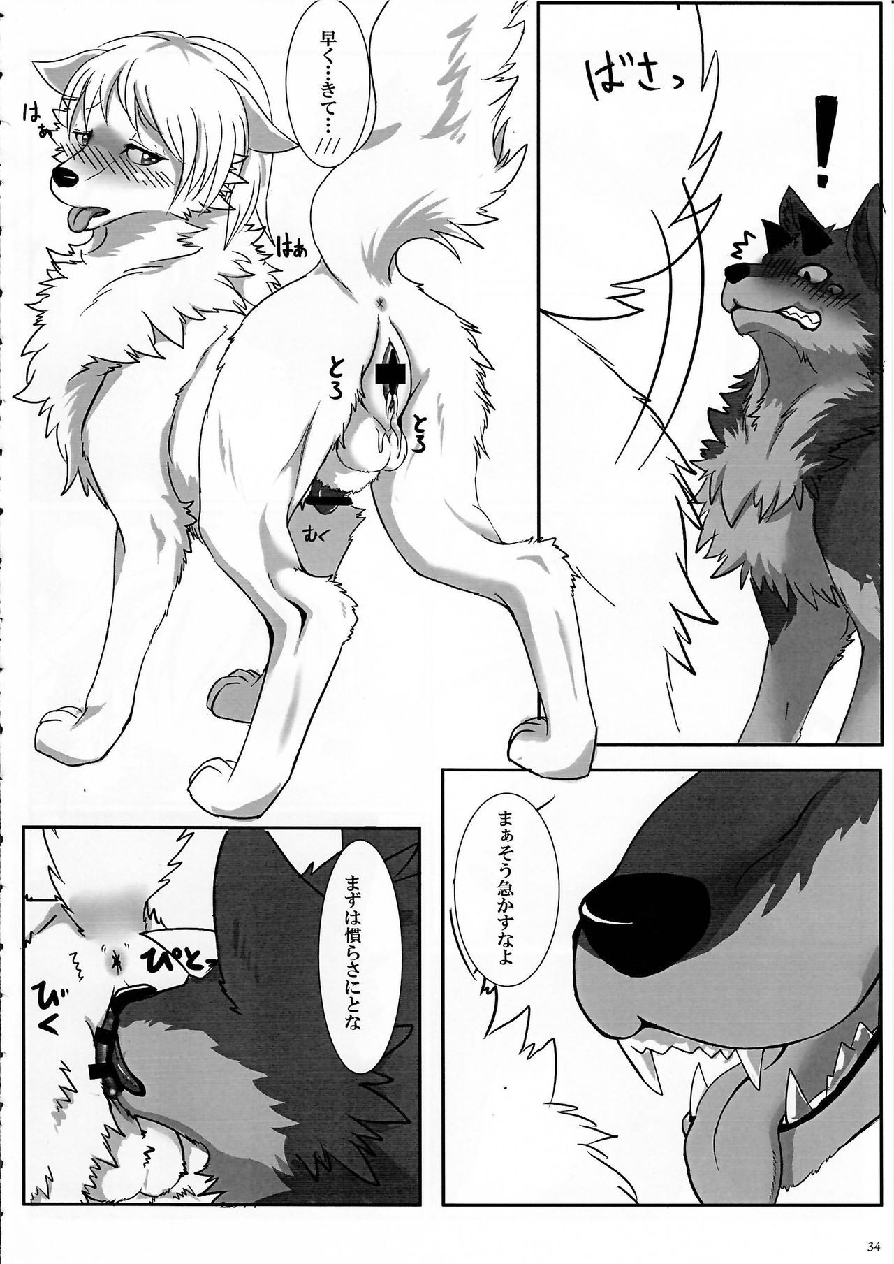 KTQ 7 - Page 34