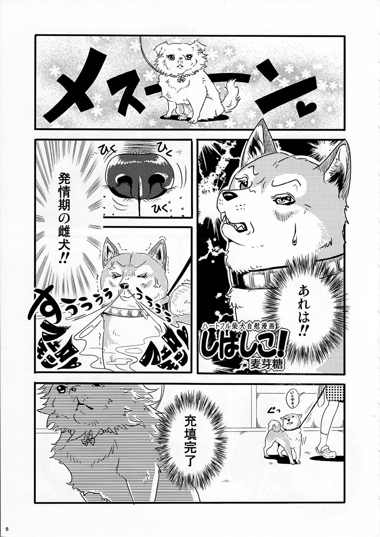 Preview page 5