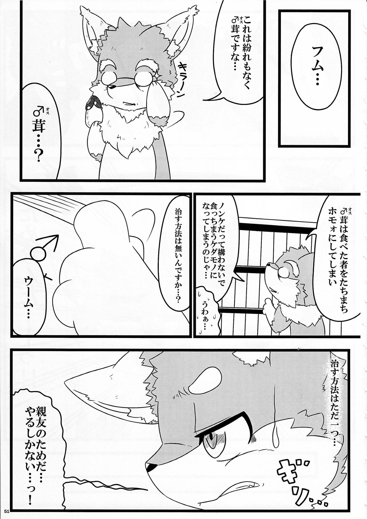 KTQ9 - Page 51