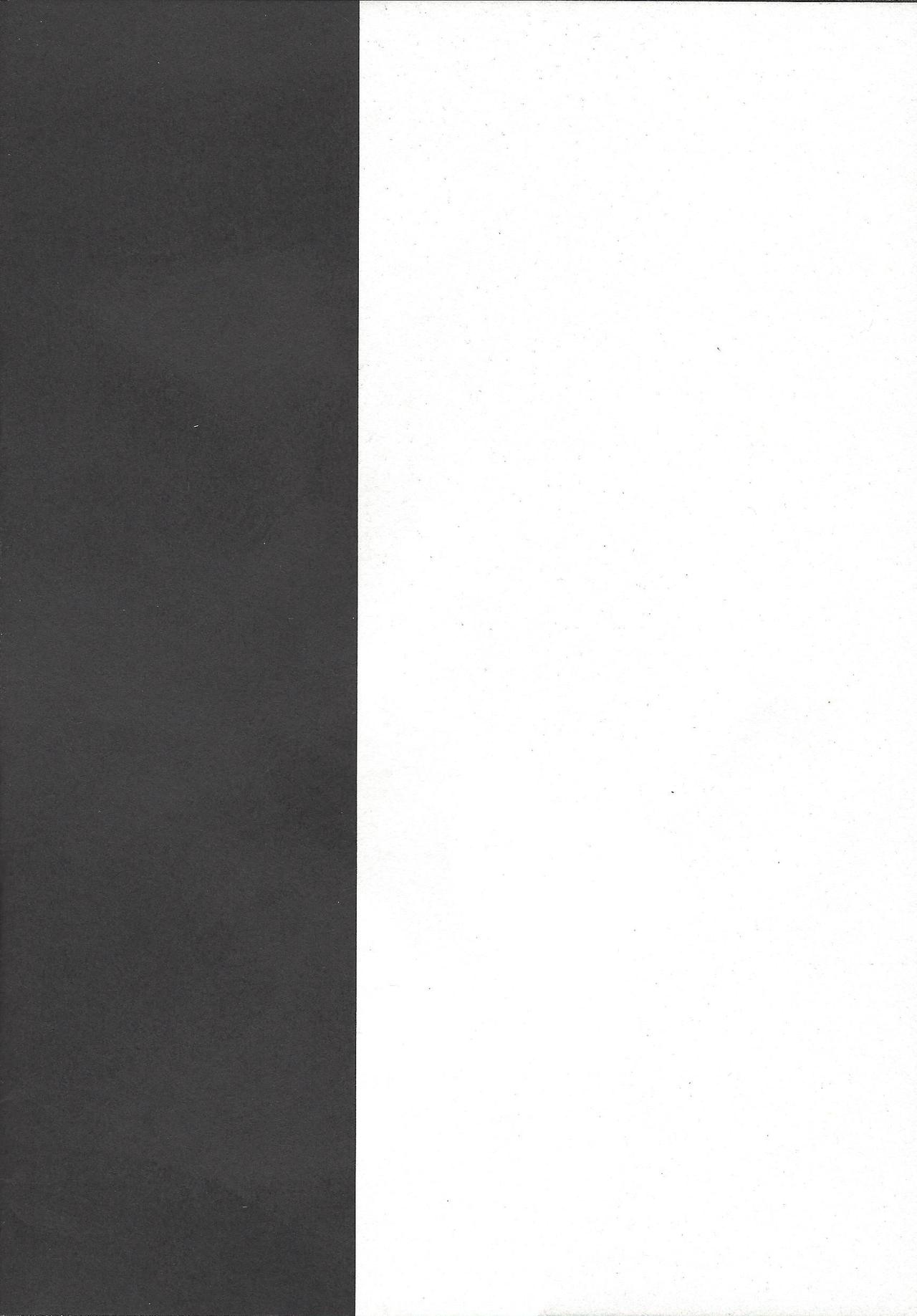 Input - Page 11
