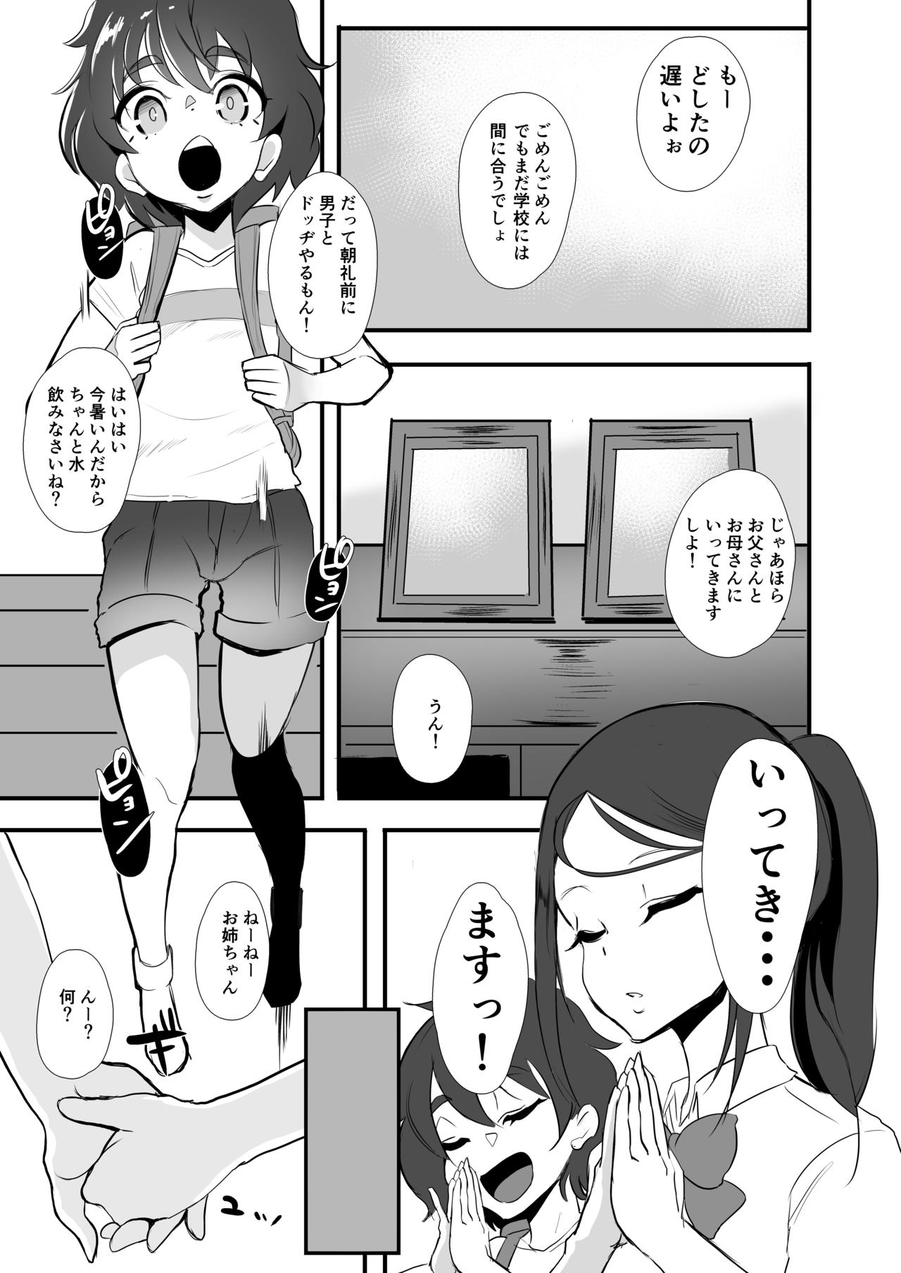 Himawari no Kage - Page 5