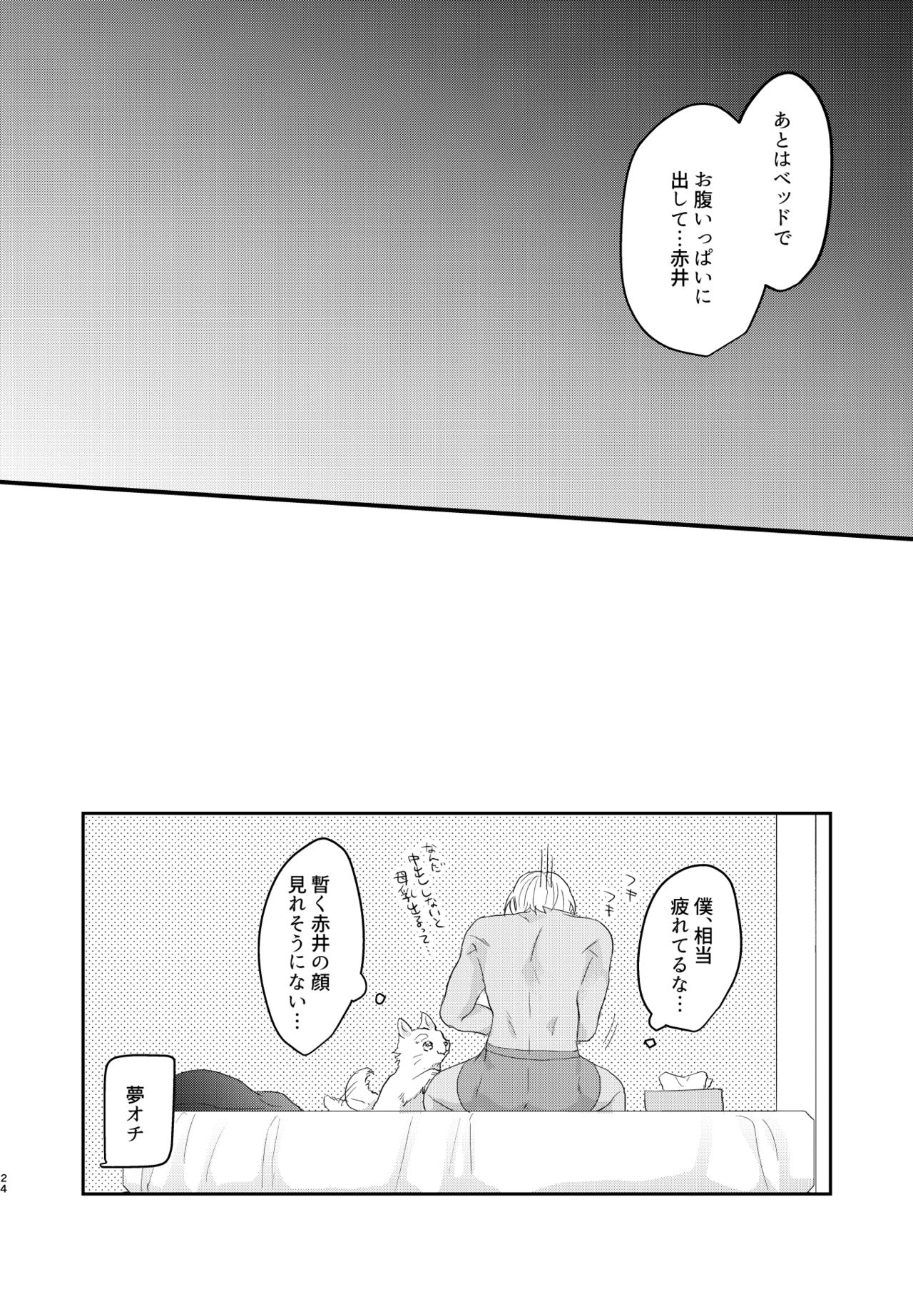 Toro Toro Book - Page 23