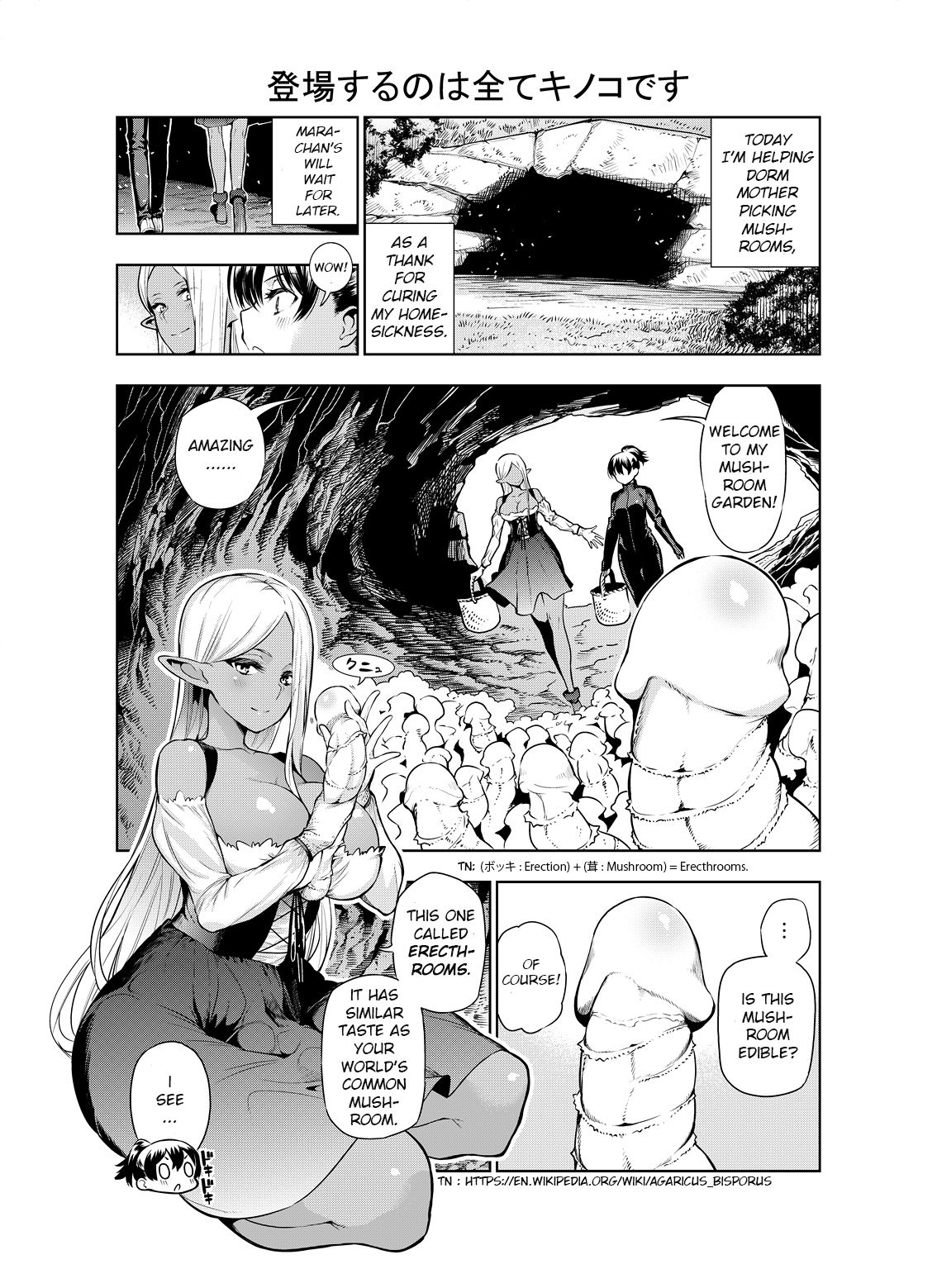 Futanari no Elf - Page 28