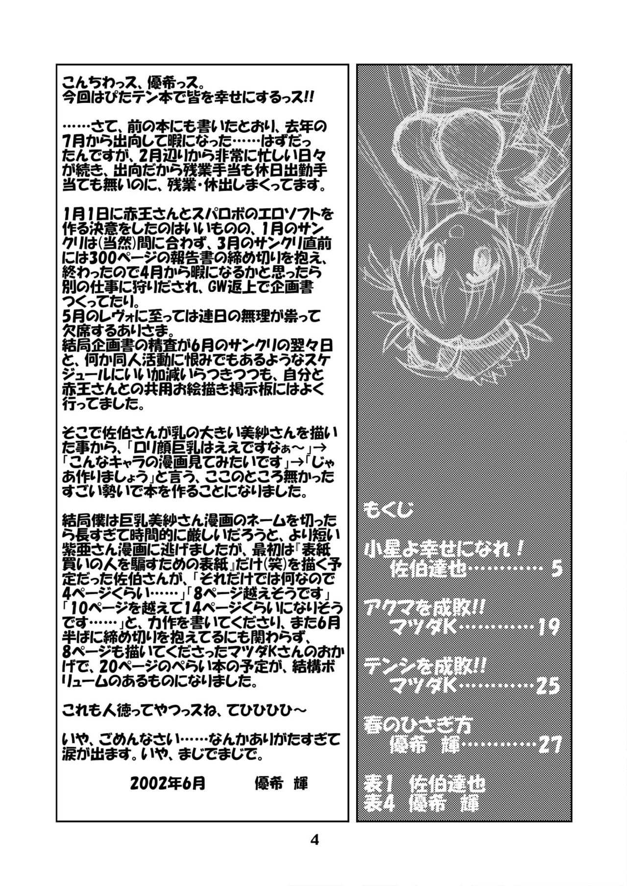 Preview page 3