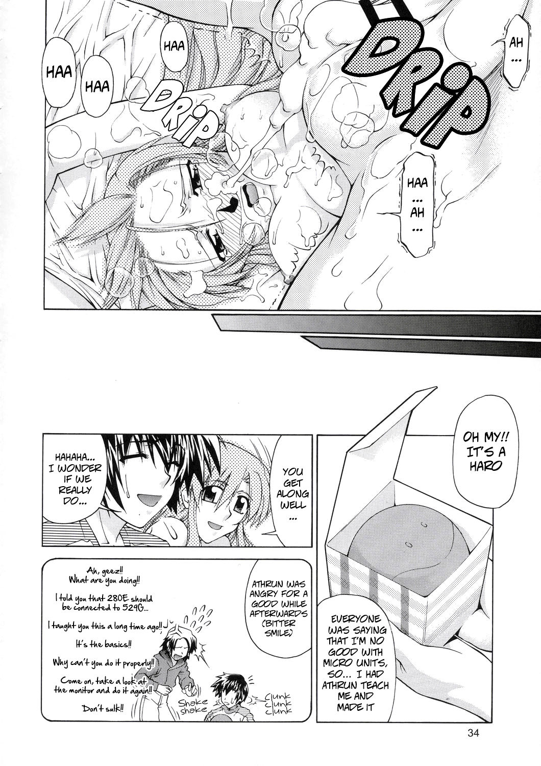 Edition - Page 33