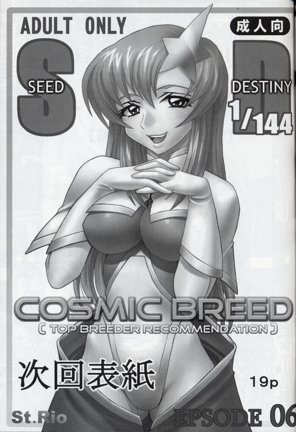 COSMIC BREED 5 - Page 21