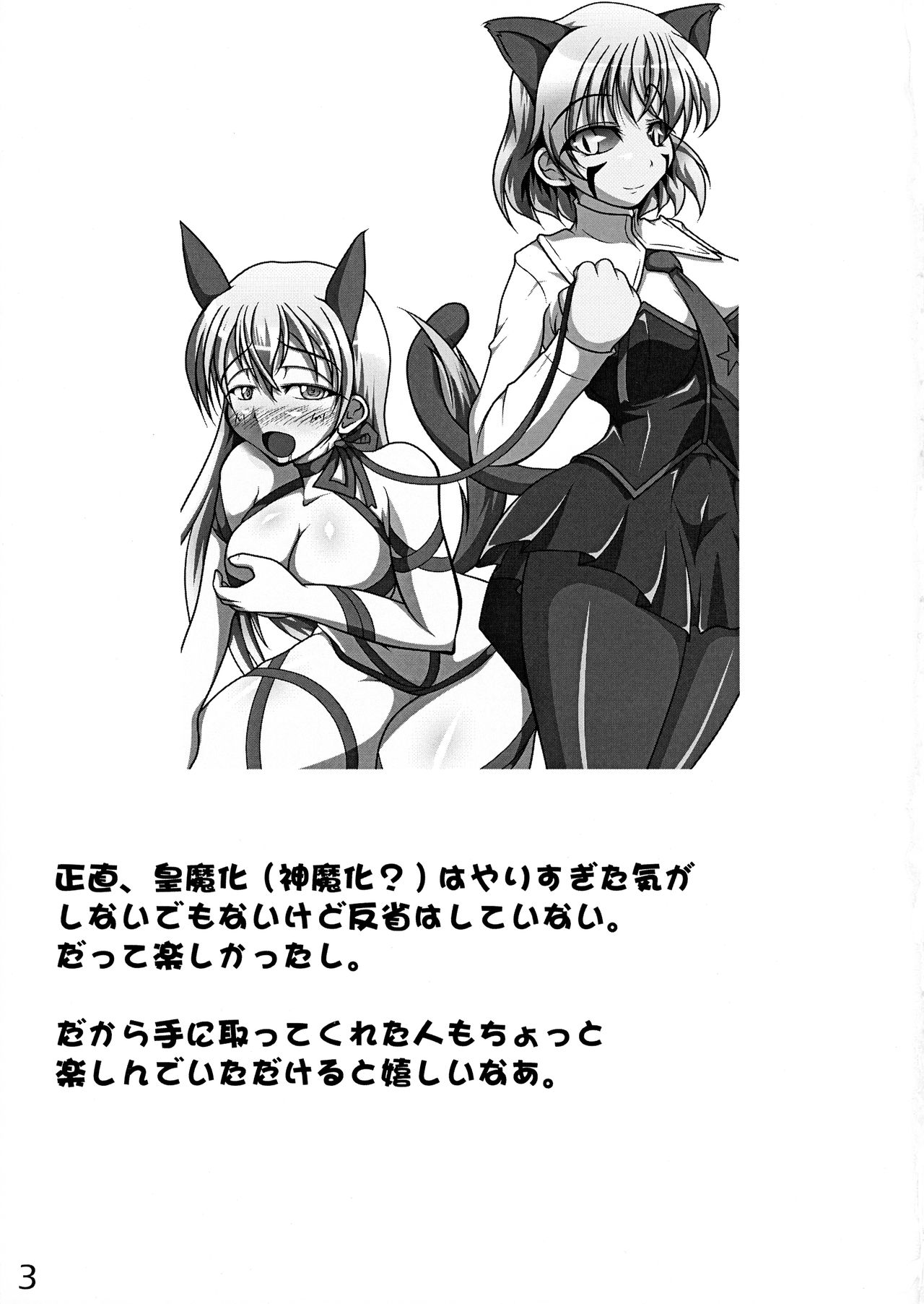 Preview page 3