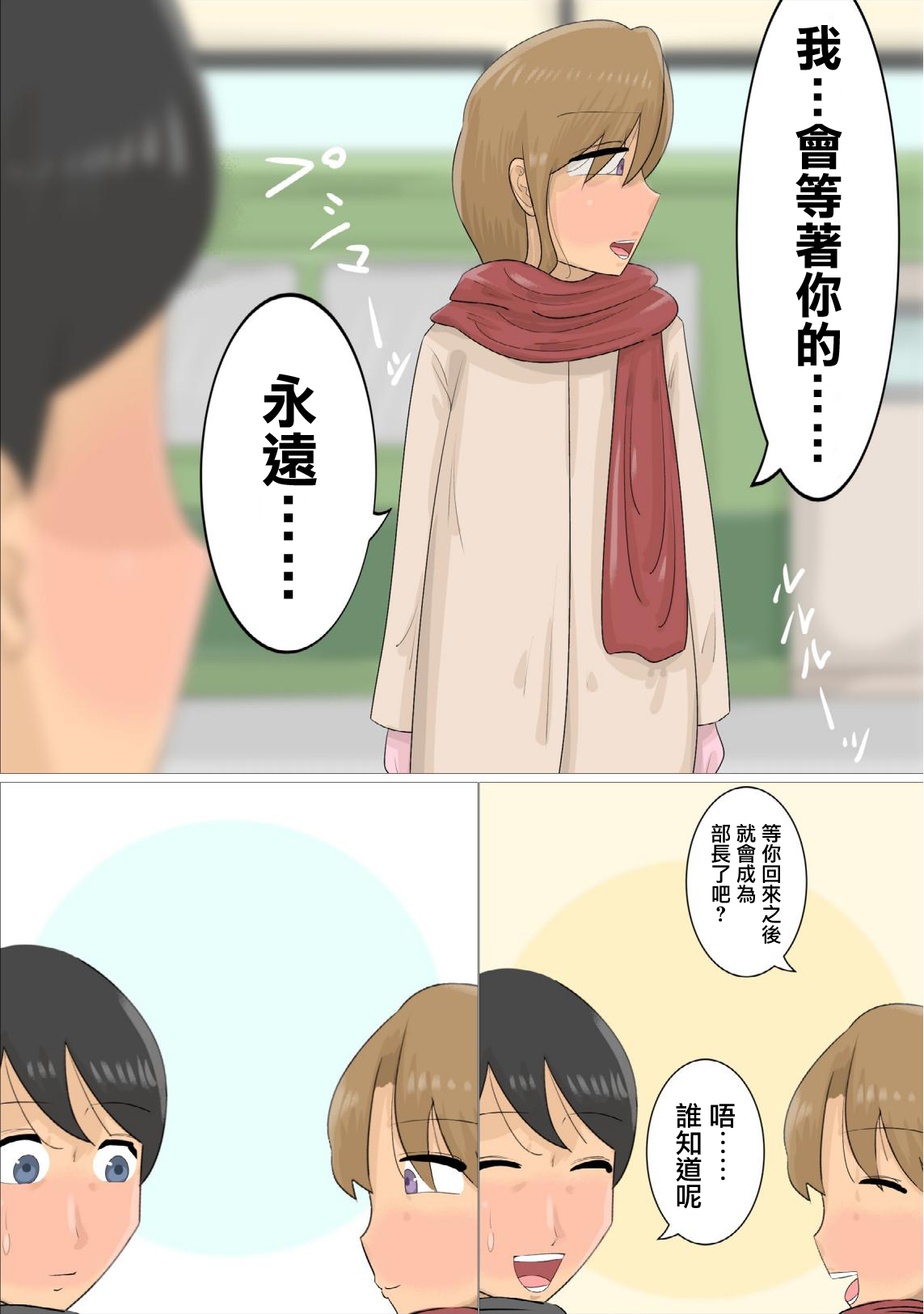 遠距離恋愛中に独身おばさんを妊娠させてしまった。 - Page 11