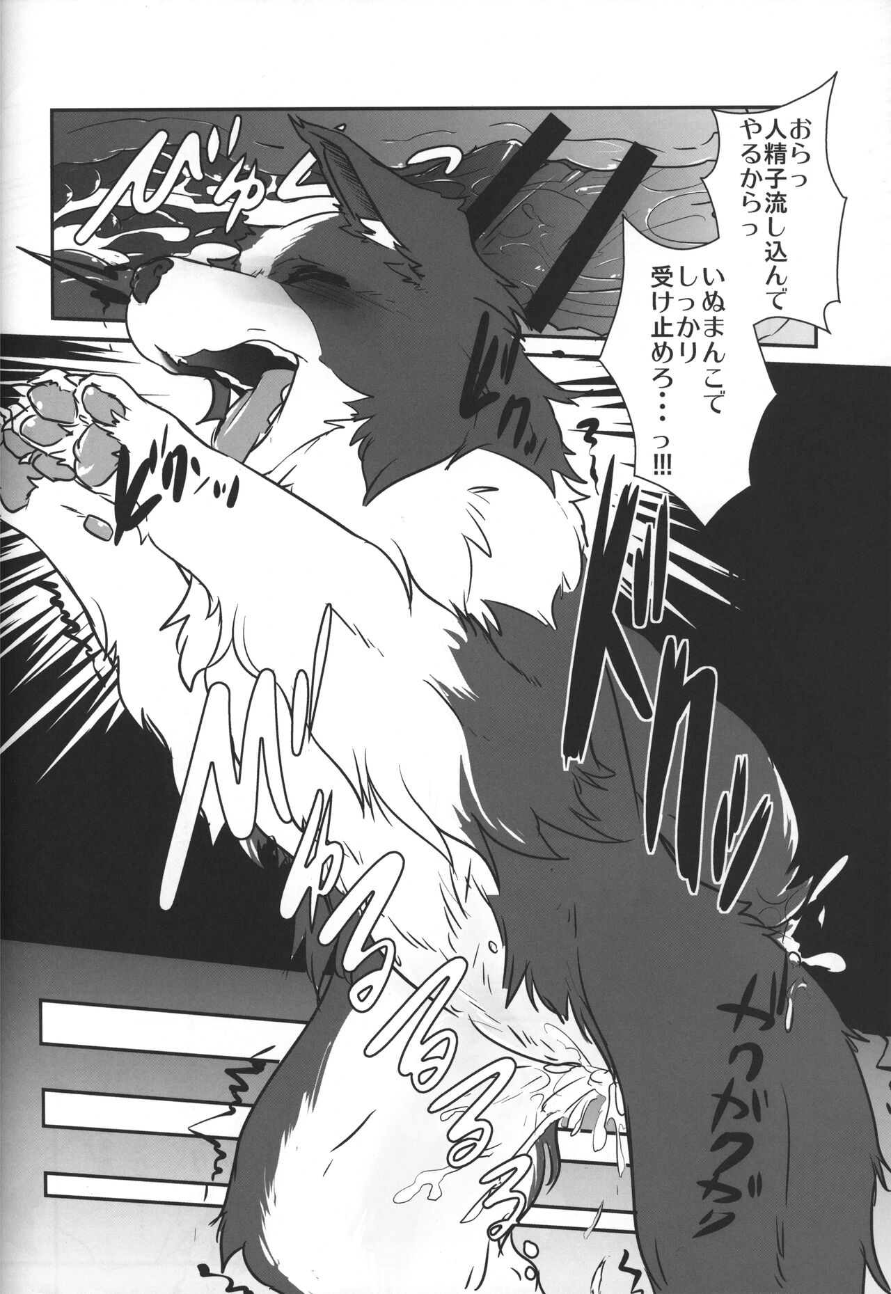 Boda kon - Page 17