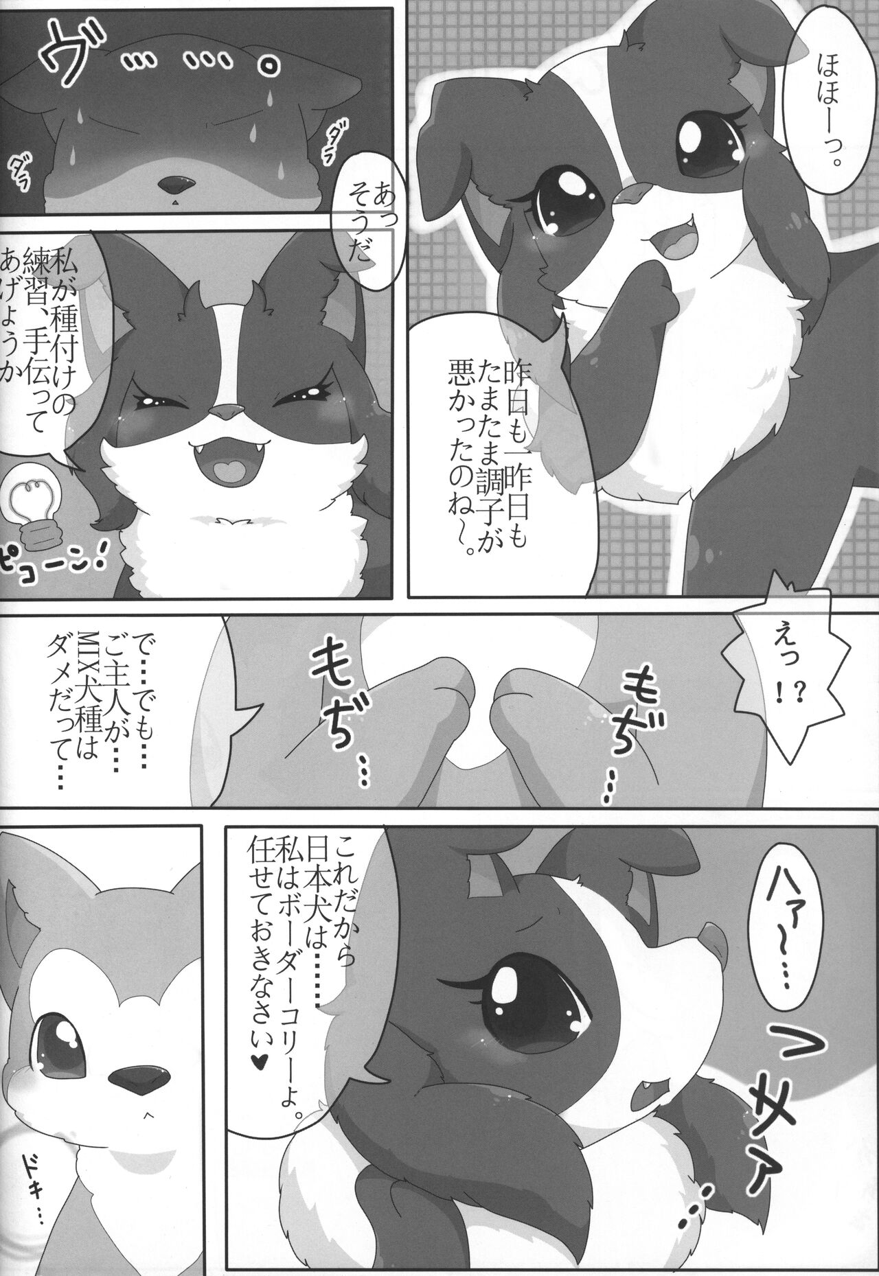 Boda kon - Page 21